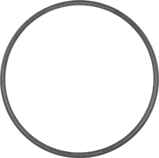 Bontrager Line Comp 30 TLR 29'' Rim Noir