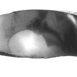 ROTOR Number Plate Mount Inox